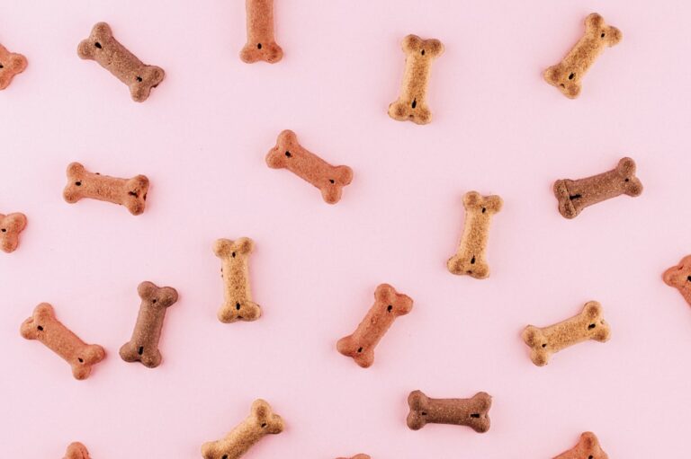 customizable pet toy patterns