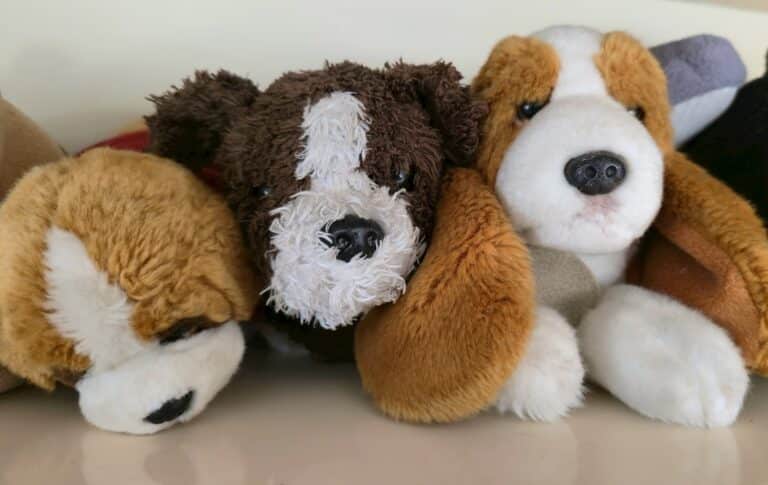 DIY plush dog toys