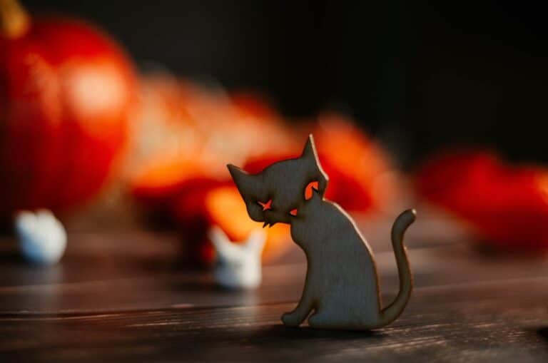 halloween cat toy crafts
