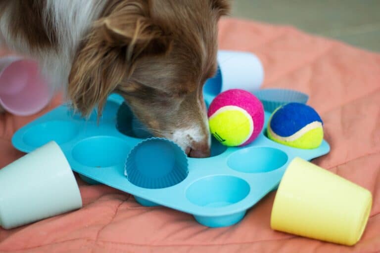 how to make homemade toys for dogs