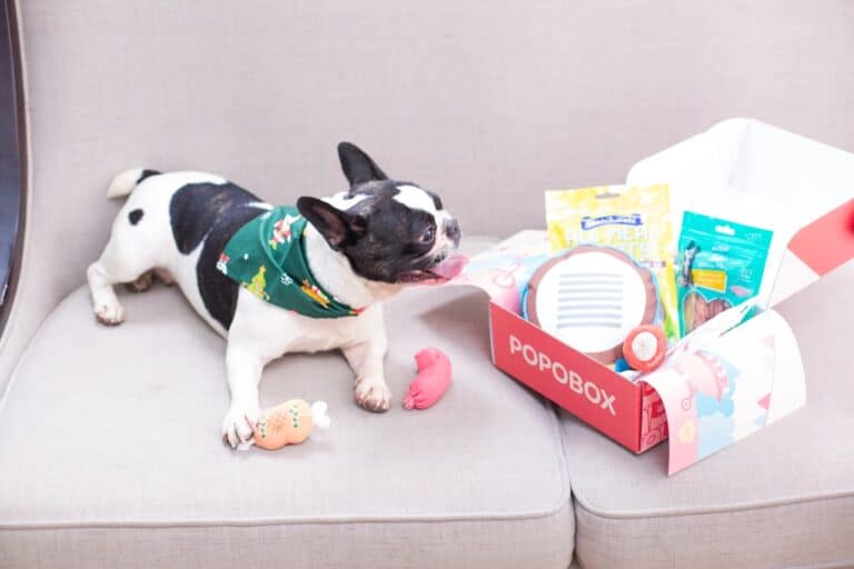 dog toy materials